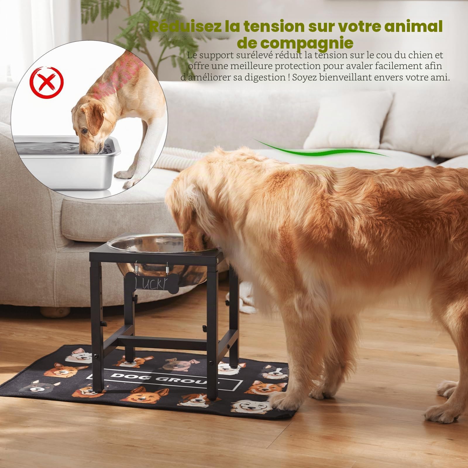 ADENGL Gamelle d'eau surélevée de 5 litres pour grands chiens, 4 hauteurs réglables (33 à 45,7 cm), bol surélevé en acier inoxydable avec tapis anti-déversement et support en métal robuste, mangeoire