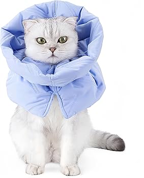 Amazon | [VNGOLERRY]エリザベスカラー 猫 犬 猫用 小型犬 ソフト 軽量