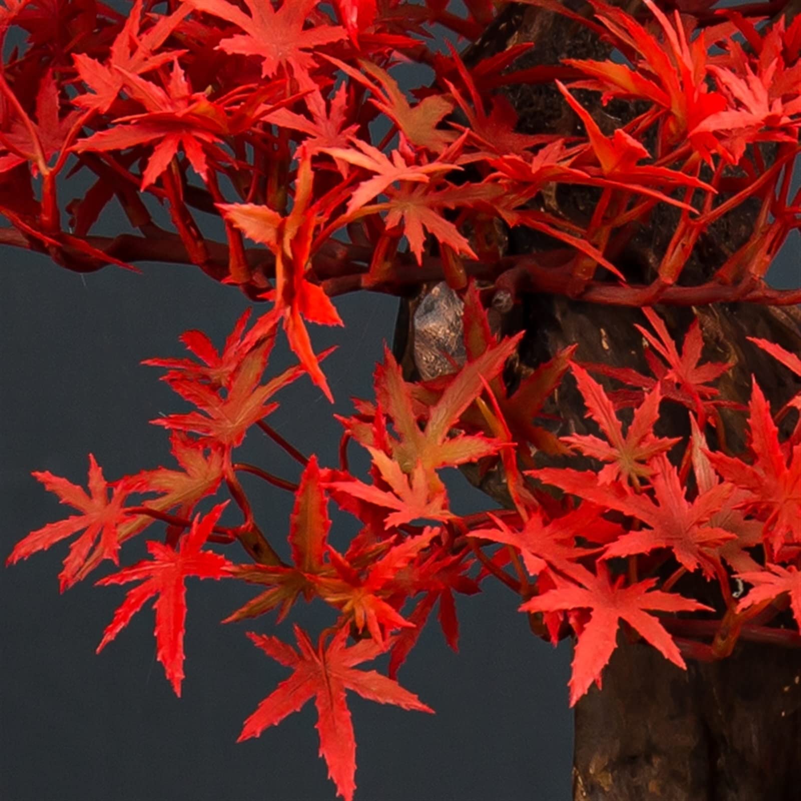 Symulowane rośliny doniczkowe Sztuczne drzewo klonowe Bonsai, doniczkowe japońskie ozdoby Zen Kryte Bonsai Sztuczna dekoracja roślinna na biurko Salon Herbaciarnia, czerwony Dekoracje wnętrz