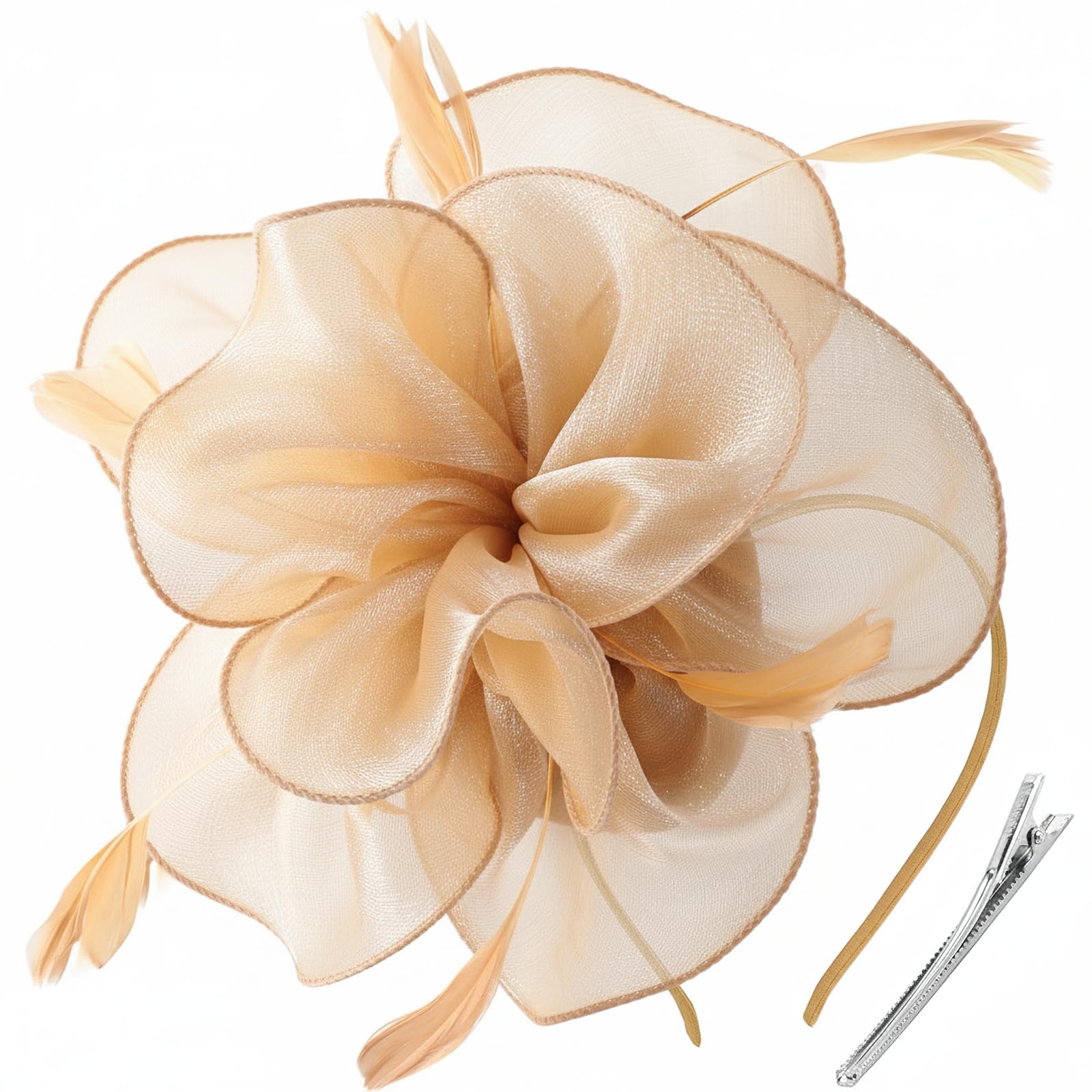 DRESHOW Fascinators Hat Tea Party Headwear Ribbons Feathers on a Headband and a Clip for Women
