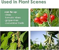 Vista 8 de Corbata de jardín con correa verde que soporta plantas suaves con las plantas, diseño precortado, rasgable, reutilizable, resistente, multiusos