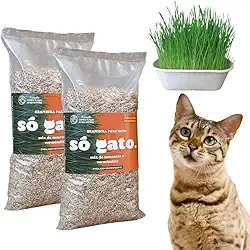 Kit 02 Graminhas Mix Para Gatos - Embalagem Econômica - Petisco 100% Natural - SóGato