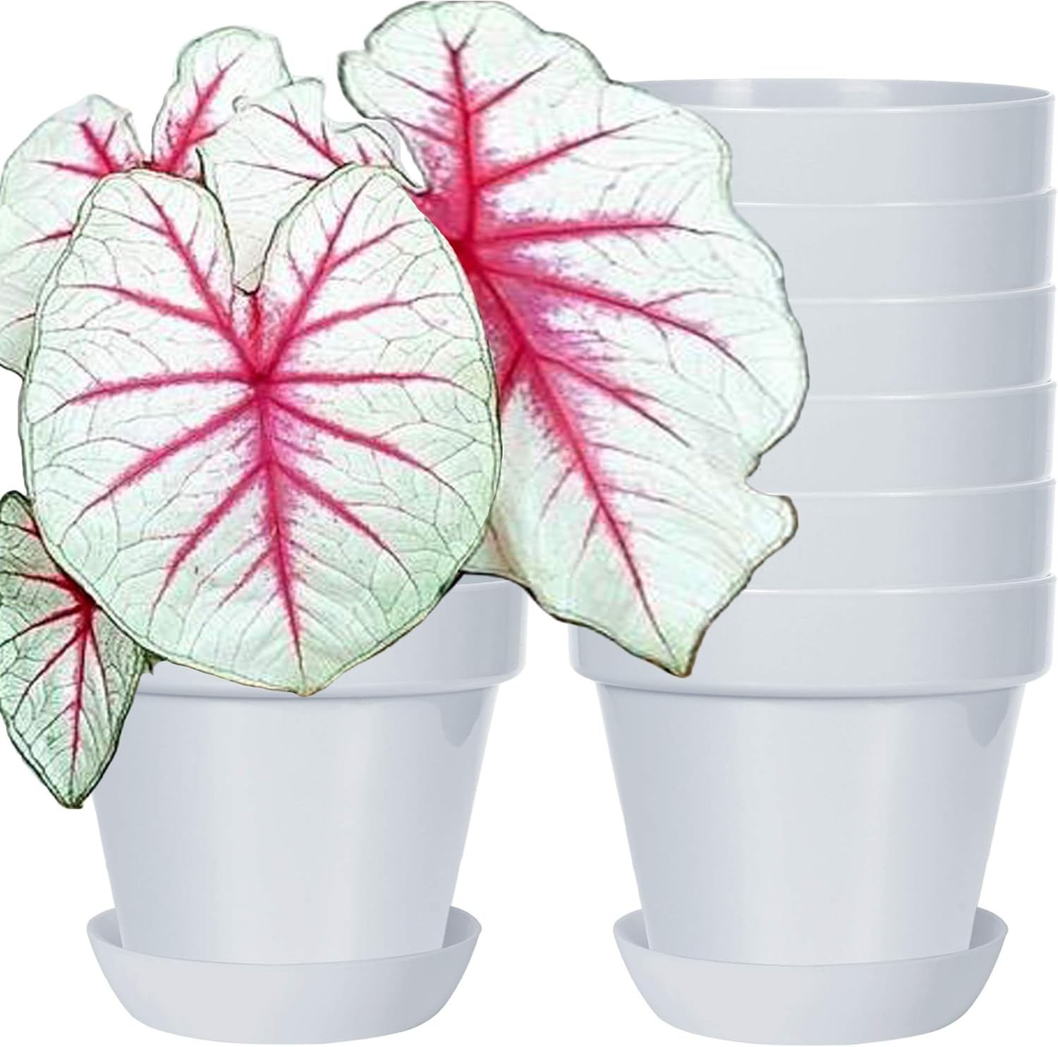 Youngever 7 Pack 6.5 Inch Plastic Planters, Indoor Flower Plant Pots, Classic Decorative Gardening Pot with Drainage (Grey with Saucers)