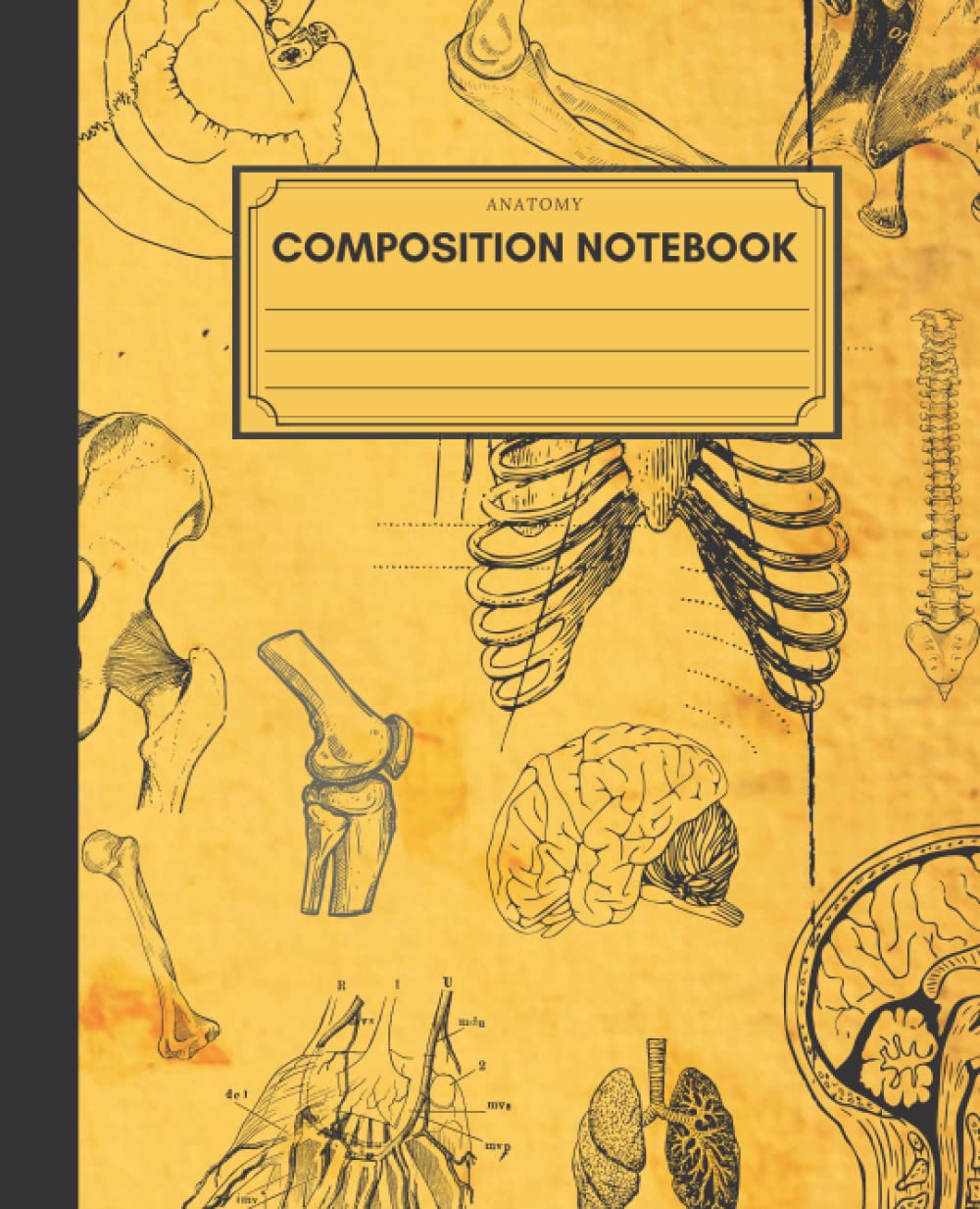 Anatomy Composition Notebook: A Vintage Wide Ruled Medical Journal with Antique Human Illustrations