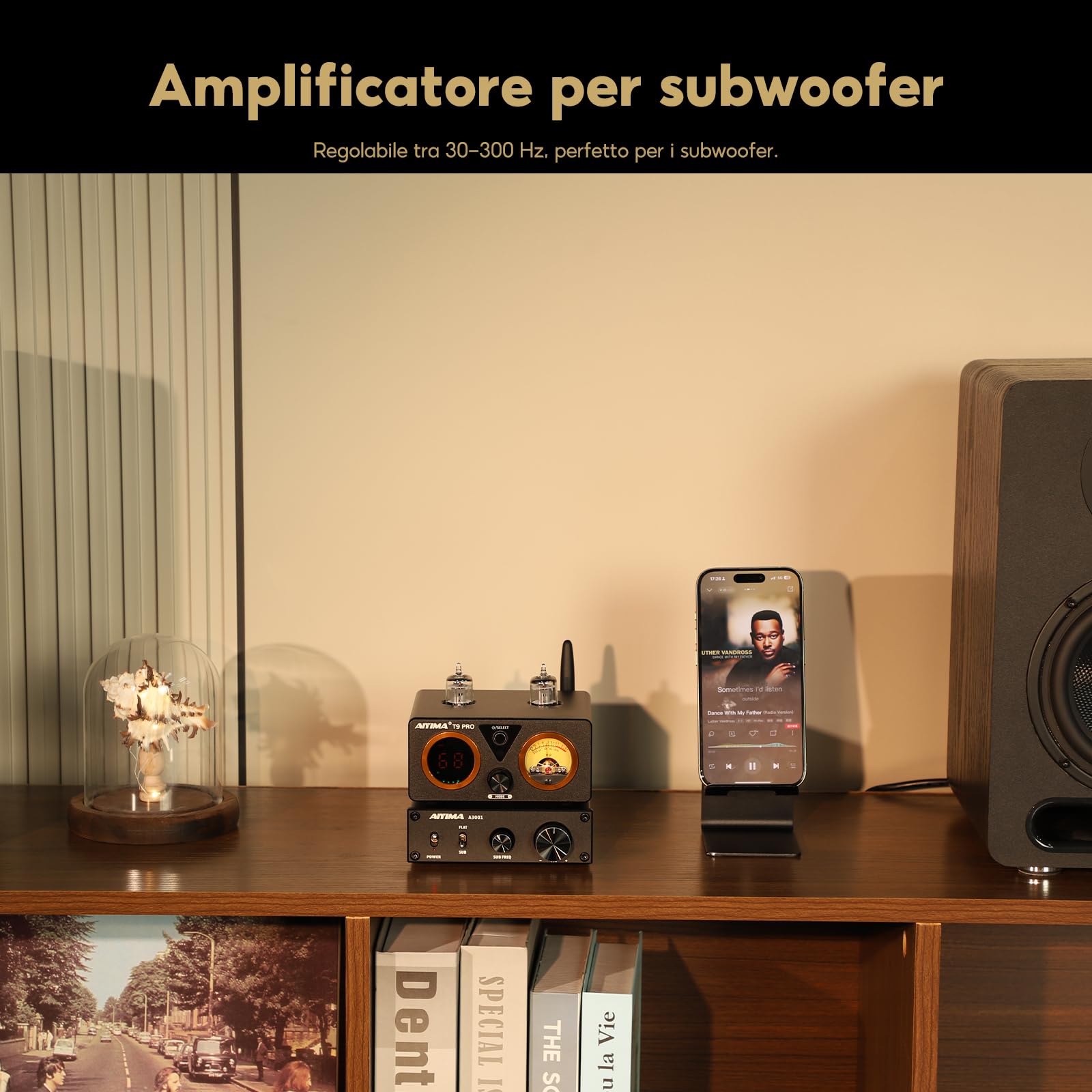 Amplificatore mini subwoofer AIYIMA A3001 TPA3255 da 200 W, amplificatore di potenza mono Hi-Fi, classe D, a piena frequenza e sub bassi, amplificatori commutabili DC 24 V-48 V