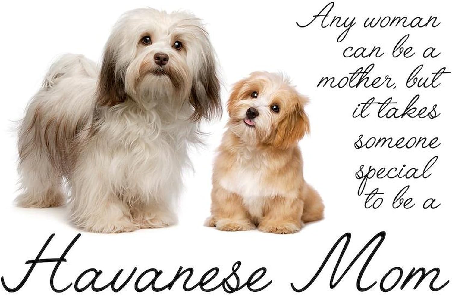 CafePress Havanese Mom Throw Blanket Super Soft Fleece Plush Throw Blanket, 60"x50"