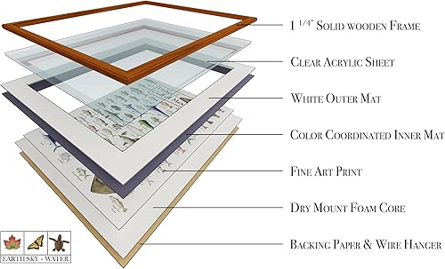 Miniatura 8 de Peces del Golfo de México Regional pescado Póster por Steven M. lewers & Associates