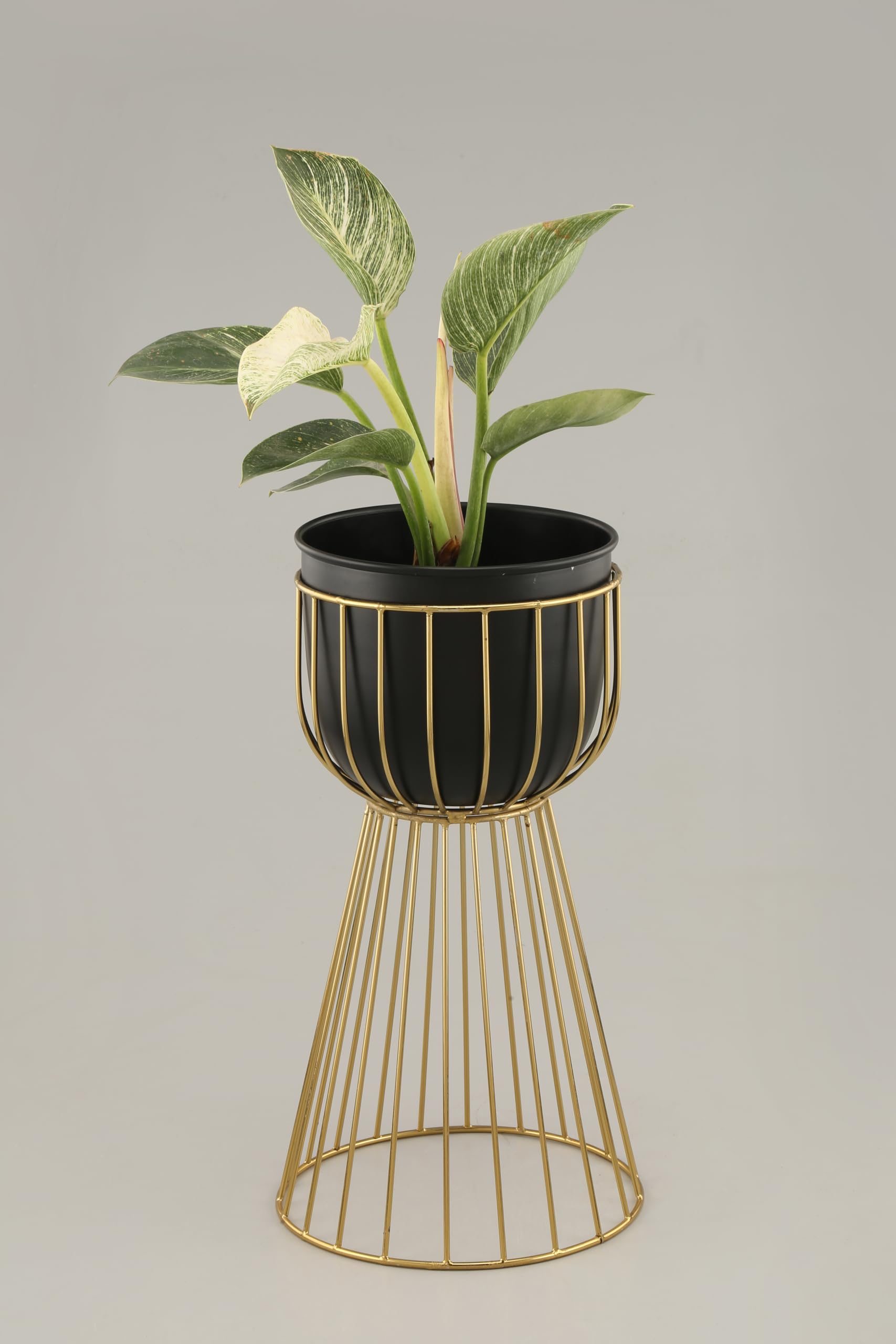 Rust & Shine Natures Heaven Planter Plant Stand - Black and Gold | Flower Plant Stand for Home and Office Décor | Includes Pot and Stand - 8.5 x 17 Inches | Aesthetic & Durable Decorative Stand (B0D3V5K2JZ) Amazon Price History, Amazon Price Tracker