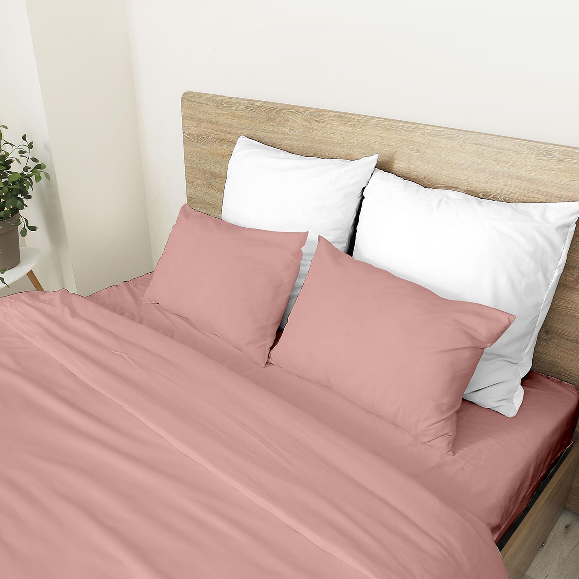 Ruggeri - Completo Letto - 100% Morbida Microfibra di Alta Qualità | 2 Federe + 1 Lenzuolo con Angoli + 1 Lenzuolo Sopra - Collezione Shiny Day (Rosa)