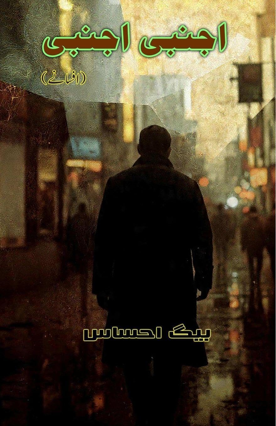 Ajnabi Ajnabi (Short Stories) (Editionfirst): (Stranger Stranger, Short Stories)