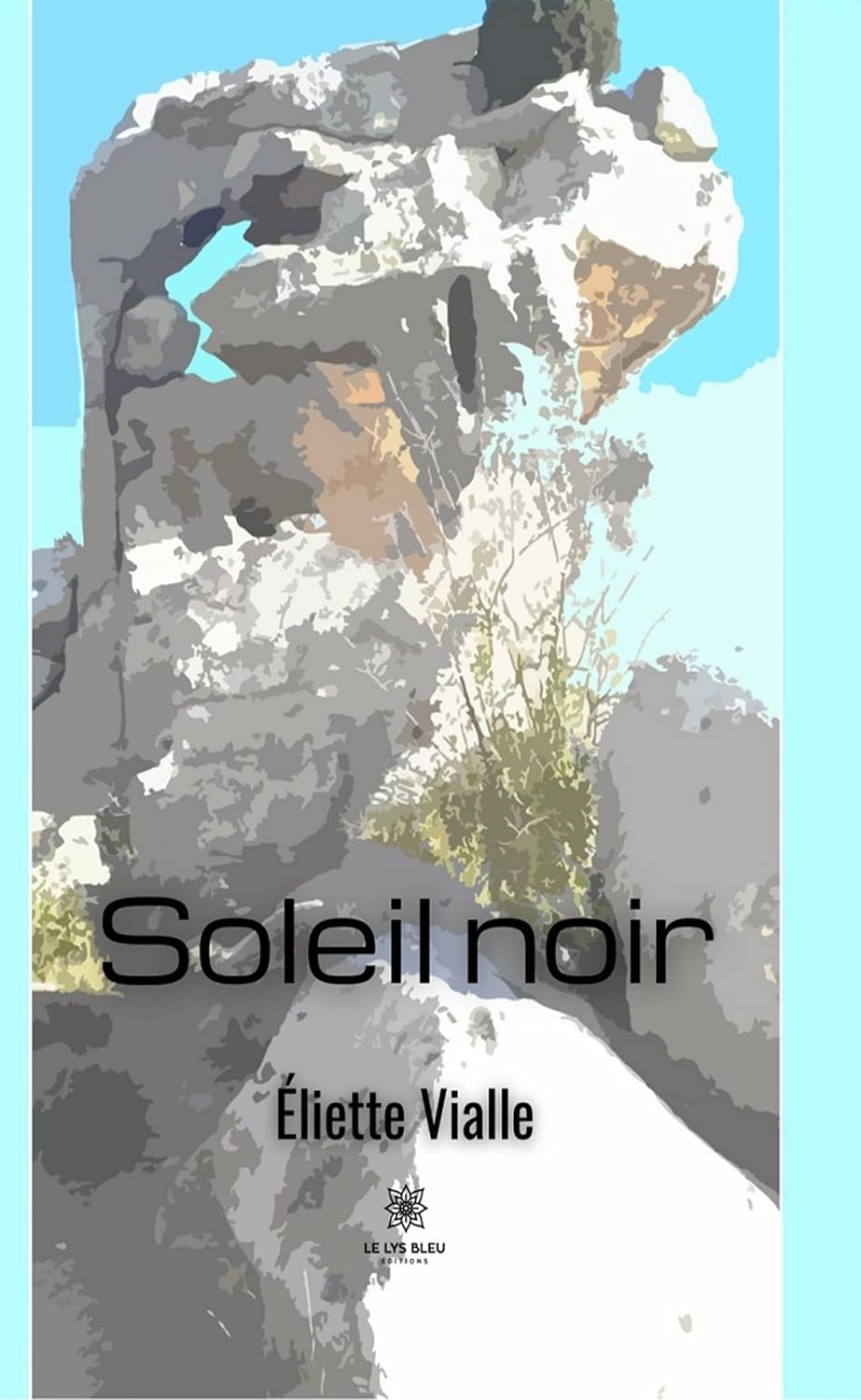Soleil noir (French Edition)