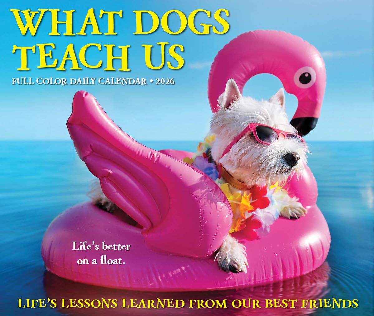 What Dogs Teach Us 2026 Box Calendar