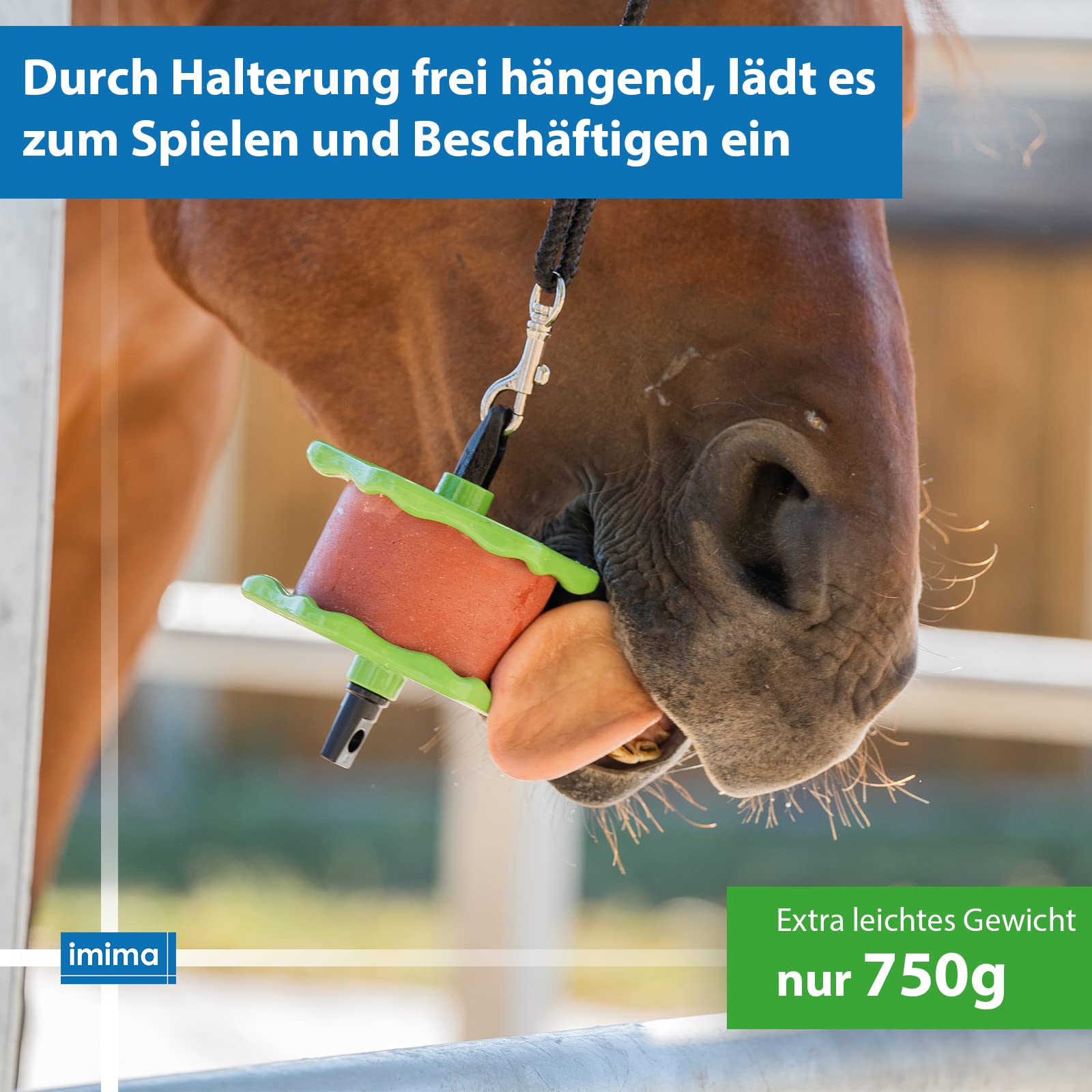 Lolly-Lick Lavande 750g