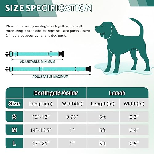 Miniatura 7 de Martingale - Juego de collar y correa para perro, collar de perro con hebilla de liberación rápida, correa reflectante y collar ajustable para perro