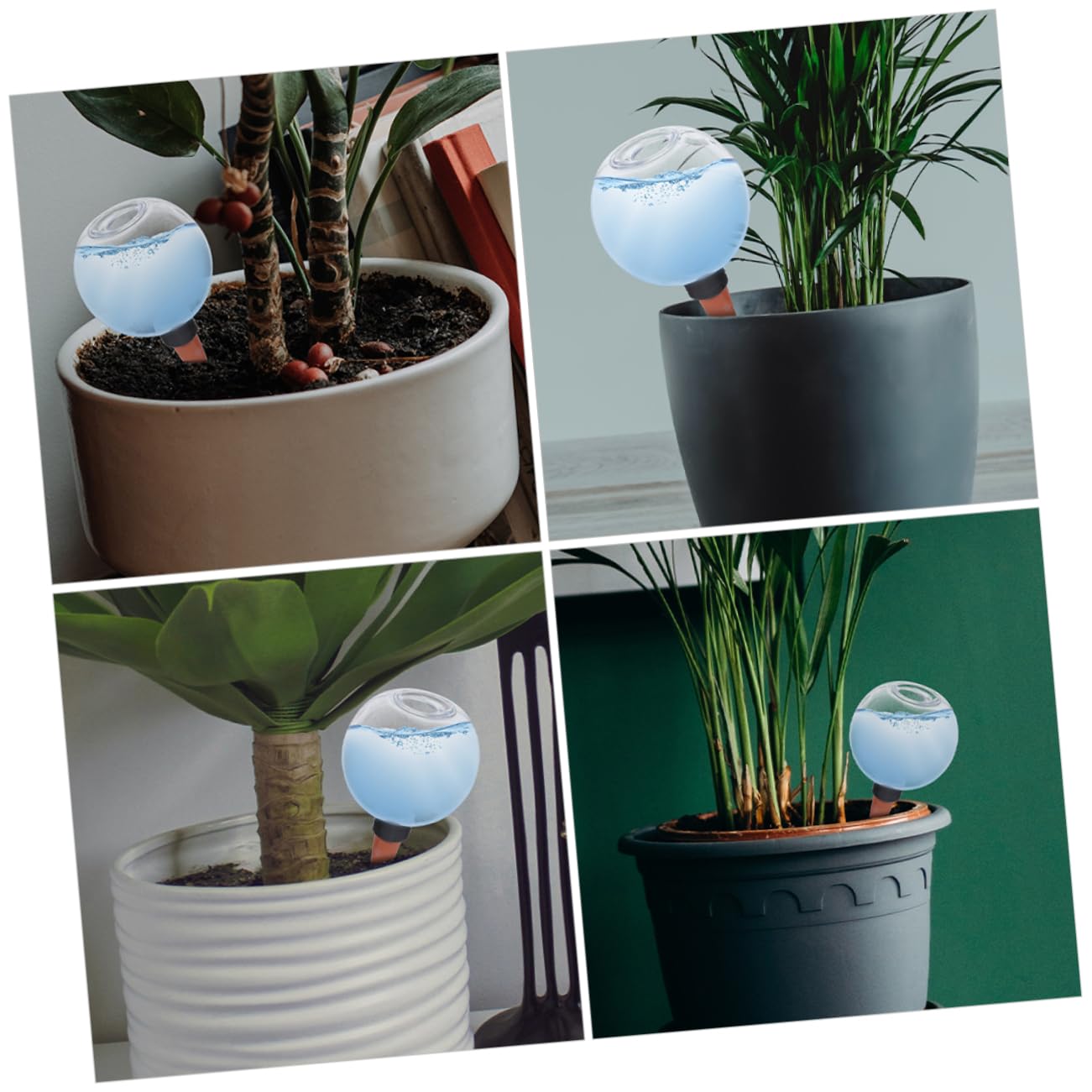 Abaodam 3 Ensembles Dispositif D'arrosage Automatique Dispositifs D'arrosage pour Plantes en Pot Plante D'arrosage Arrosage À Globe D'arrosage Arrosage du Jardin 2 Pièces * 3