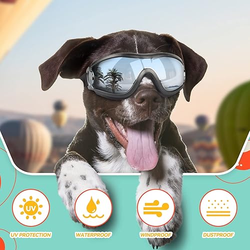 Miniatura 4 de PETLESO Gafas para perros, 2 unidades, gafas de protección ocular de perro grande, gafas de sol resistentes al viento para perros medianos y