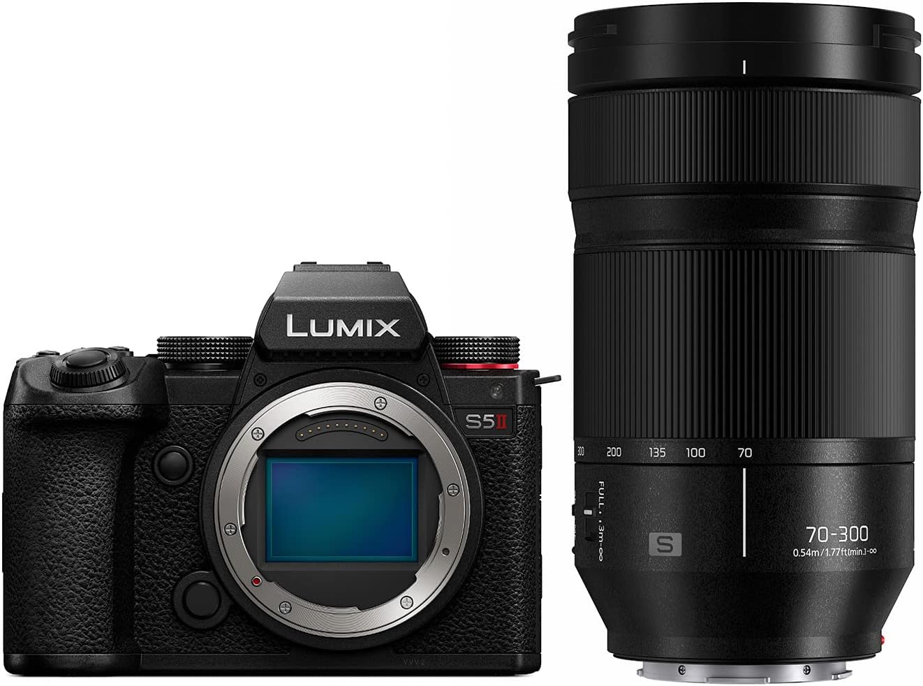 Panasonic LUMIX DC-S5M2BODY Mirrorless Camera with LUMIX S1 Filmmaker Profile Unlock Software Key (DMW-SFU2)