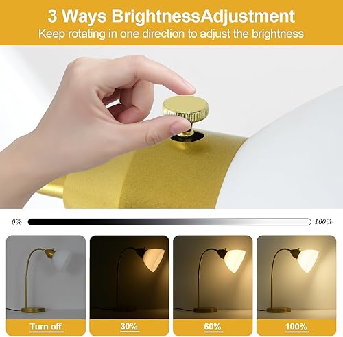 Miniatura 2 de Lámpara LED de escritorio para oficina en casa, 3 niveles de luz de lectura regulable, lámpara de mesa de cuello de cisne flexible para oficina de