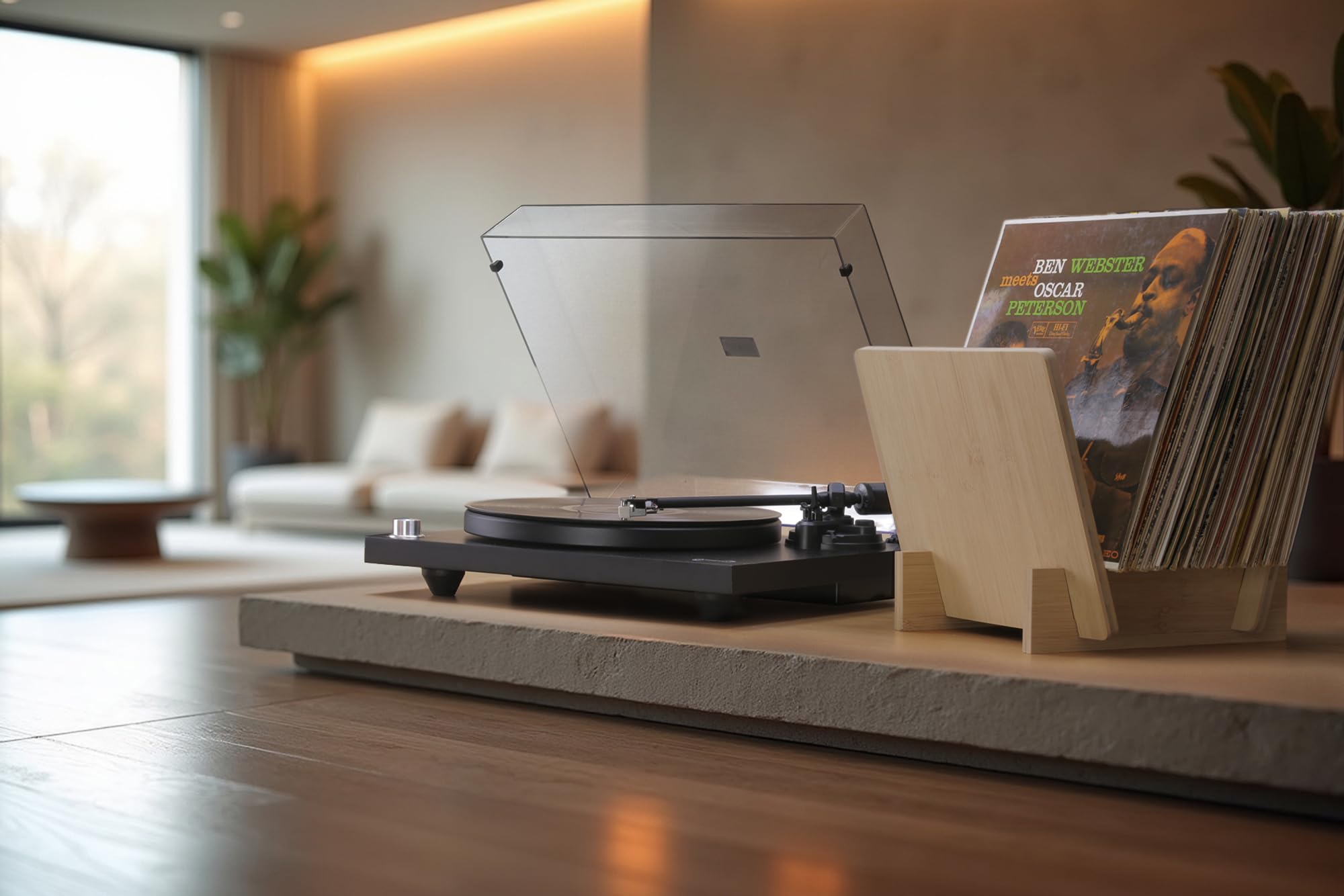 Dynavox LP-Ständer ST40, Aufbewahrungs-Box für Vinyl-Schallplatten aus Bambus, Plattenständer für bis zu 40 LP's und Singles, Natur