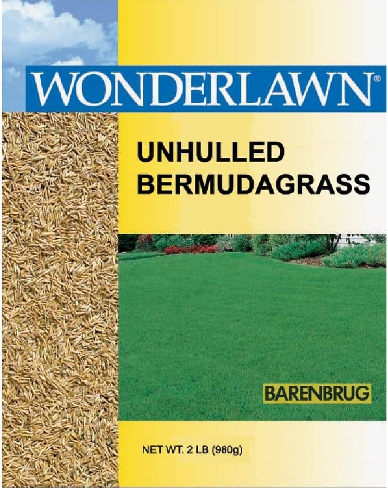 Barenbrug USA 81202 Bermudagrass Grass Seed