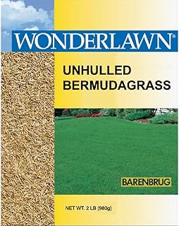 Barenbrug USA 81202 Bermudagrass Grass Seed