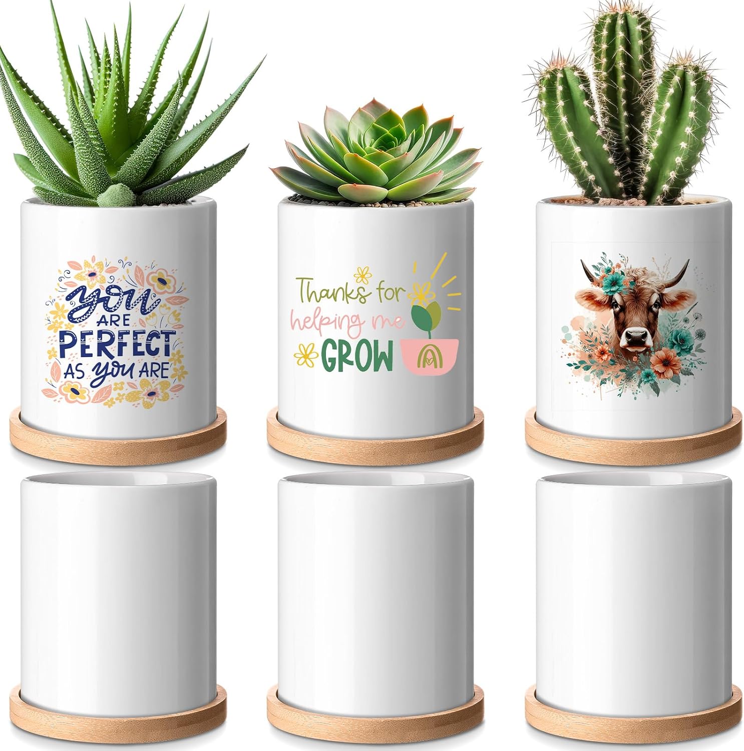 6 Pcs Sublimation Flower Pot Blanks Mini 3.2 in Garden Ceramic Succulent Planter Pot with Bamboo Tray with Drainage Hole Thank You Gifts for Employee Appreciation Plant Lover