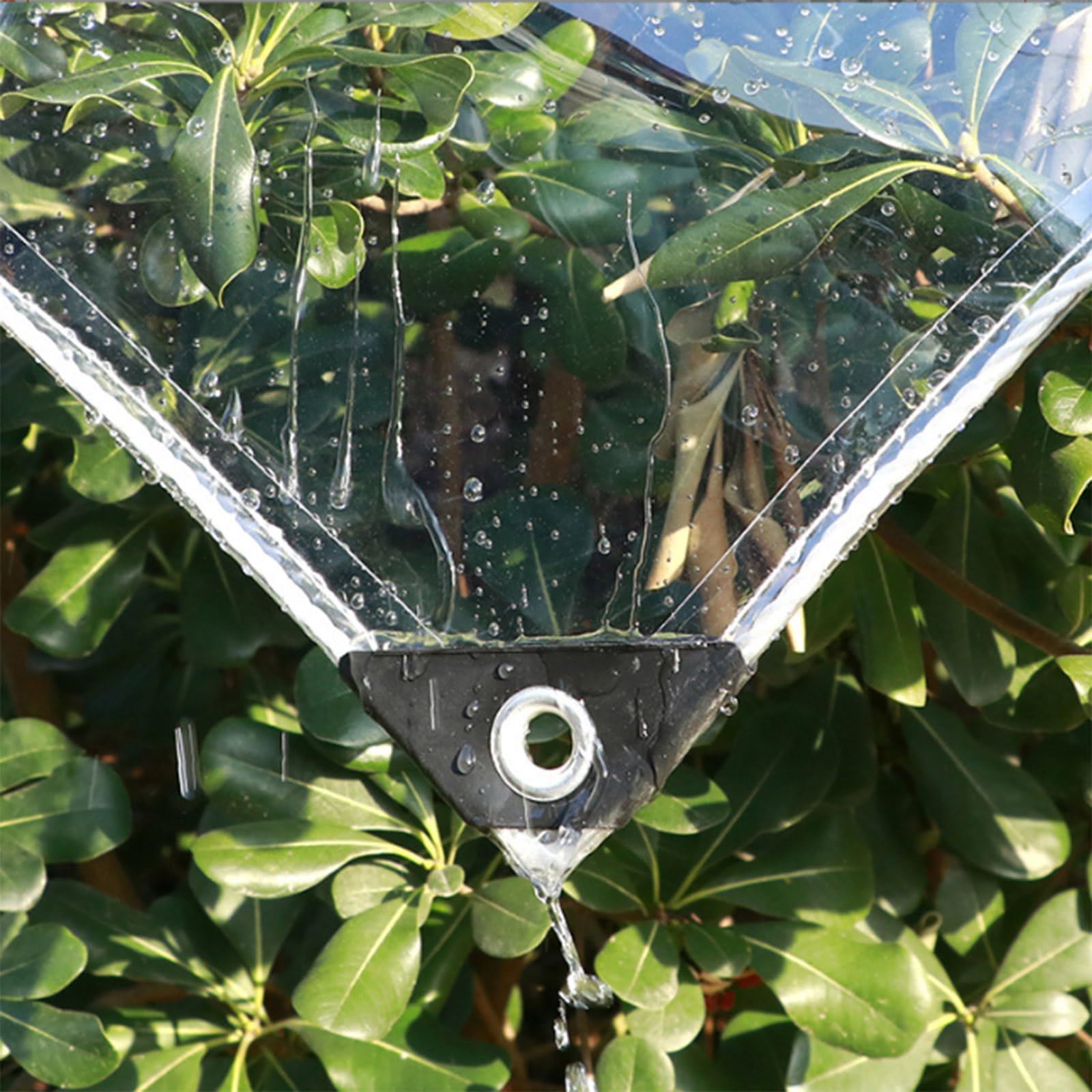 Bâche transparente robuste contre la pluie et le vent avec œillets de fixation extérieurs