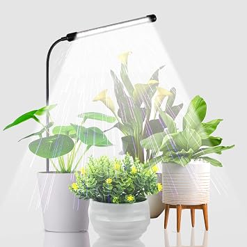 Juhefa Grow Light for Indoor Plants Growing, 6000K Full Spectrum Gooseneck Plant Lamp for Seedings Succulents Small Plants, A