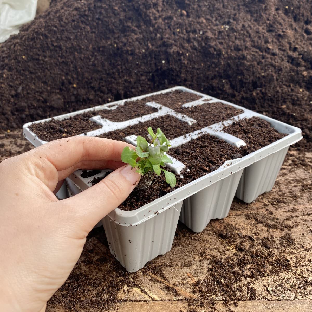 9 Cell Recycled Grey Plastic Plant Trays (100)