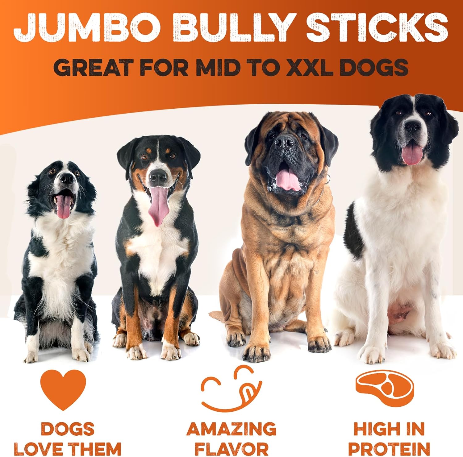 BRUTUS & BARNABY Jumbo Bully Sticks for Dogs (3 Count) - Thick Long Lasting Chews for Aggressive Chewers, Grass Fed, Odor Free, Single Ingredient, Rawhide Free for Large Dogs