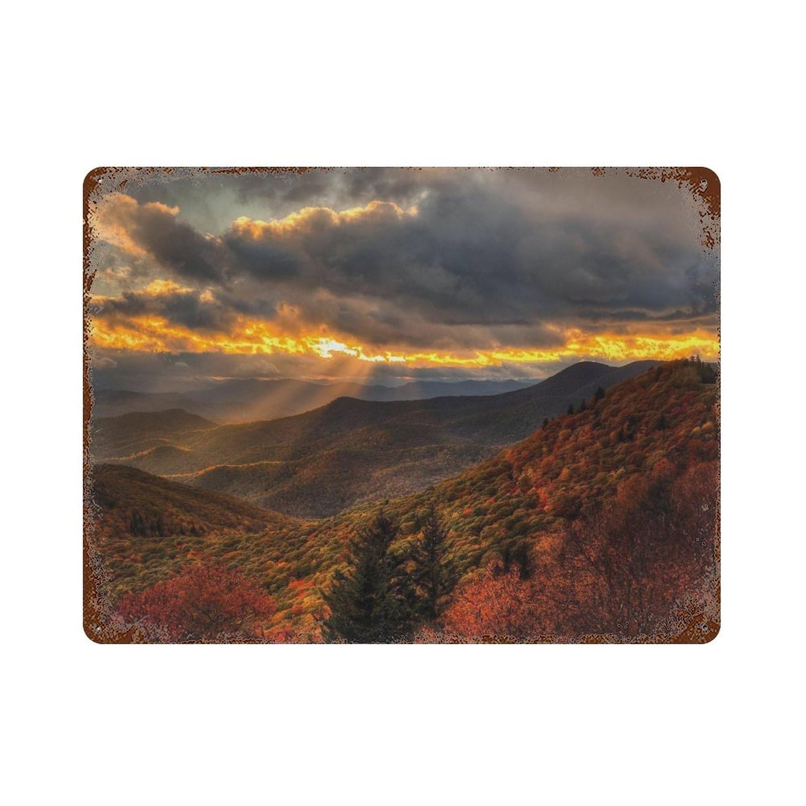 xiaoxiaoshen Real Photo North Carolina Decor Wall Decor Art Metal Tin Poster Modern Home Decor Art Home Bar Shop Decorations Vintage Sign 30x40cm