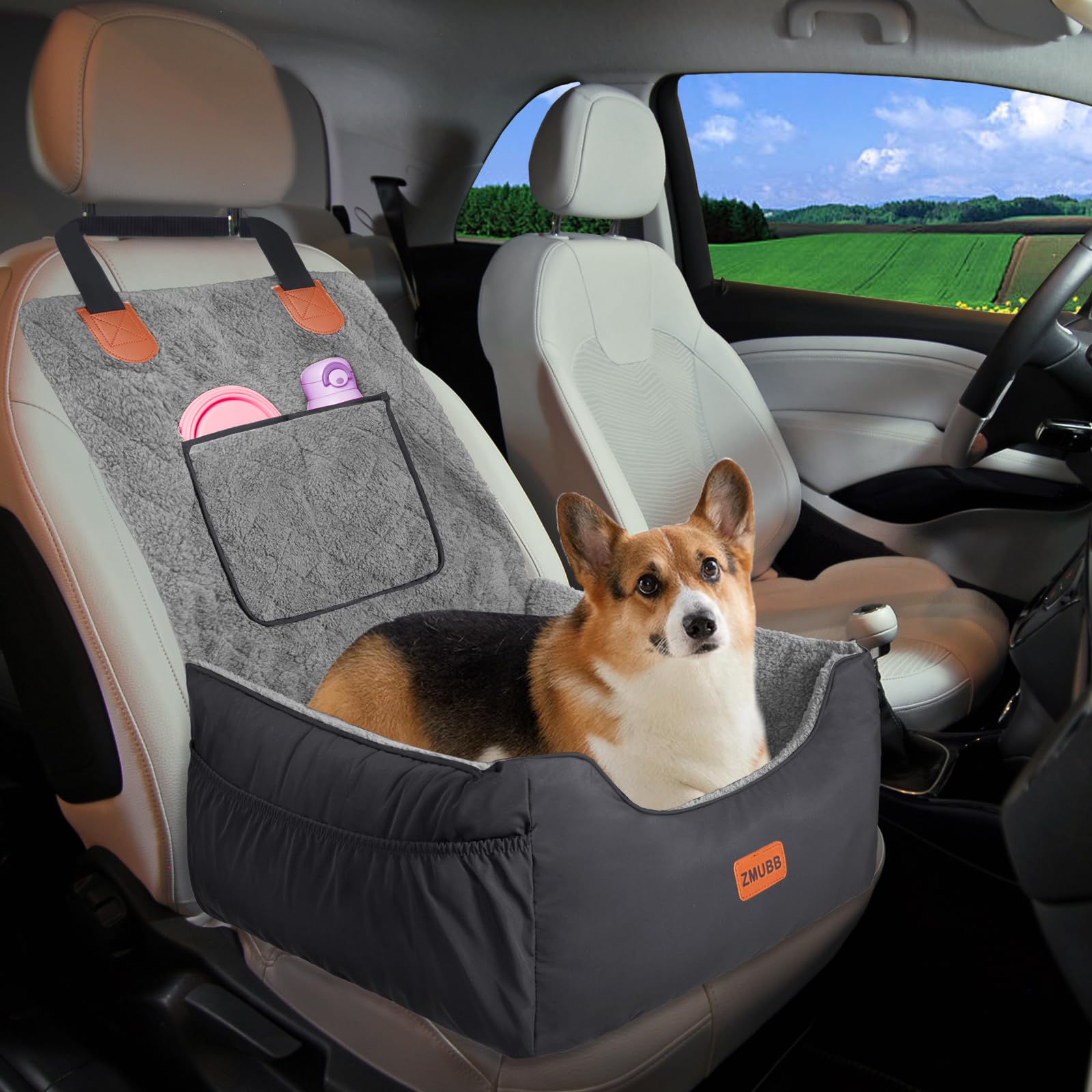 Dog Car Seat for Small Dogs up to 25 lbs: Detachable Pet Car Seat for Front/Back Seat, Easy Installation, Washable, Secure Travel Carrier with Storage Pockets & Clip-on Leash (Dark Grey)