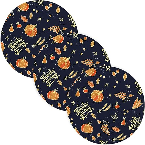 Happy Autumn and Thanks Giving - Almohadilla resistente al calor, para ollas y sartenes calientes, absorbe agua, almohadilla de cocina para