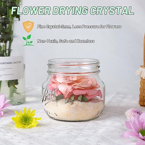 Miniatura 2 de Eazy2hD Desecante de cristales de secado de flores de gel de sílice de 5 libras con recipiente sellado y guantes para kit de preservación de ramo de