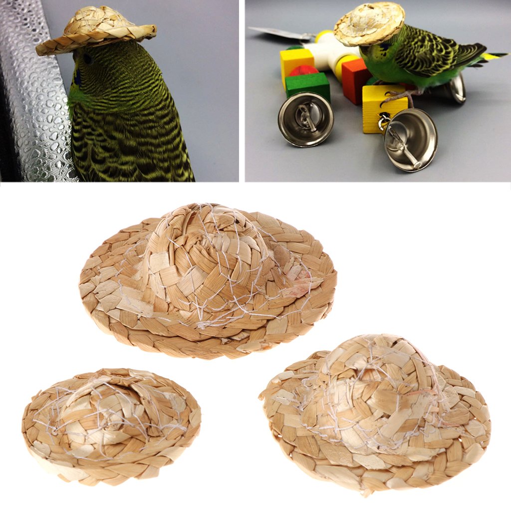 DRAGONRUN Bird Hat for Parrots Handmade Straw Woven Funny Size Hats for Bearded Dragons Small Pets Birds Accessories
