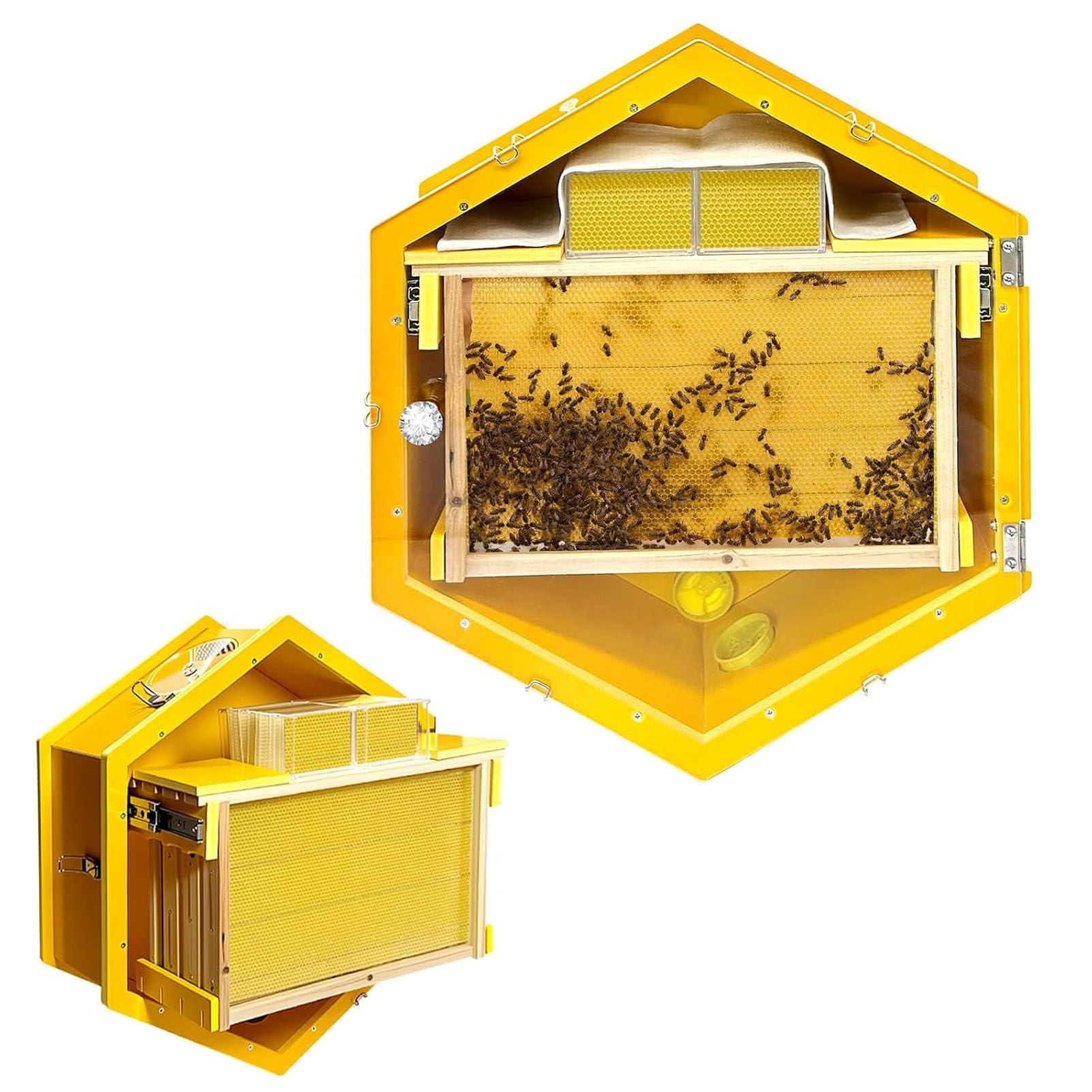 Ruche hexagonale 3 cadres pour apprendre l'apiculture sans grand jardin