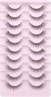Ruairie False Eyelashes Natural Look Fluffy Wispy Natural Lashes with Clear Band 3D Cat Eye Lashes Strip 10 Pairs False Lashes