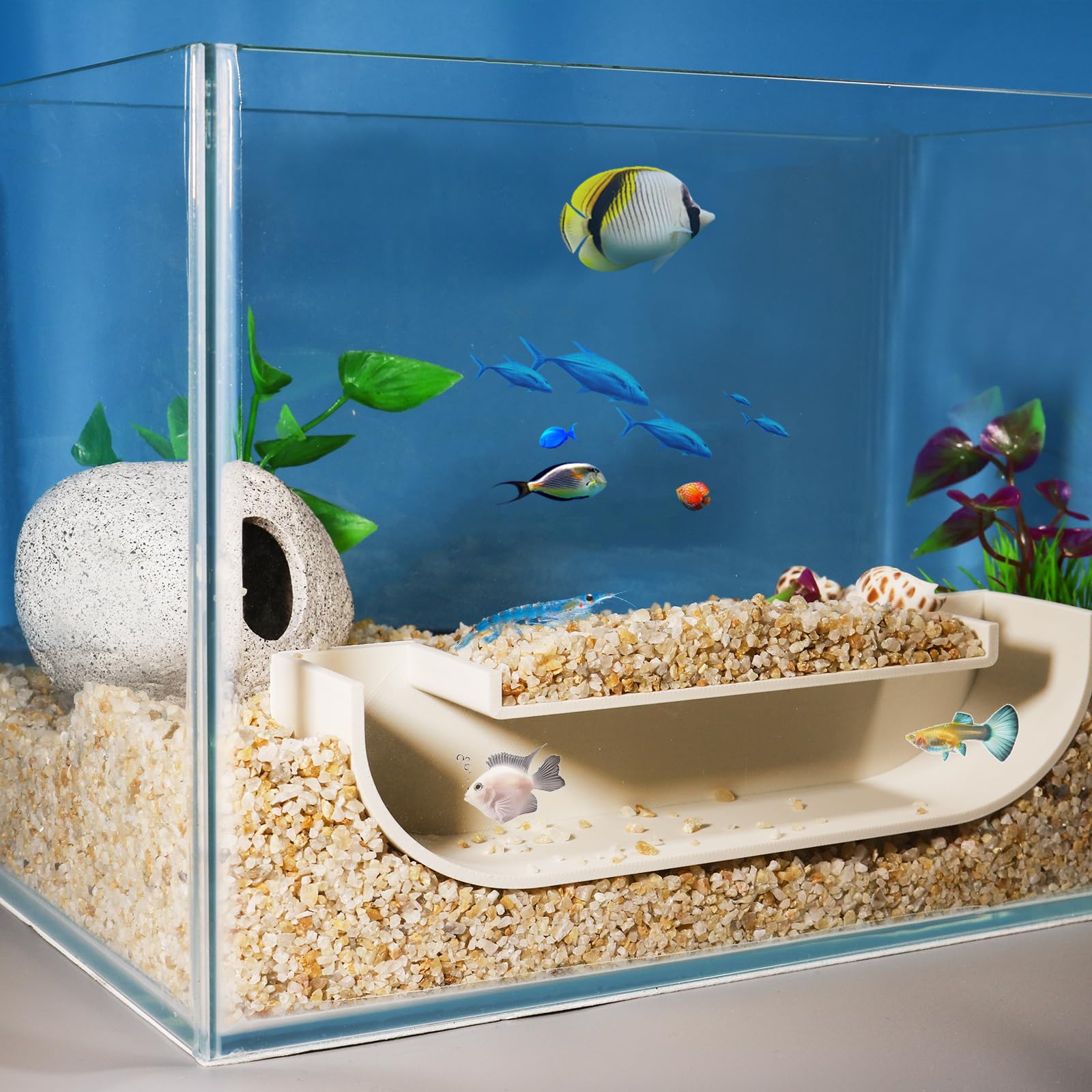 Amazon.co.jp: Toileum 水槽用魚の隠れ家 エビの隠れ家 水槽トンネル