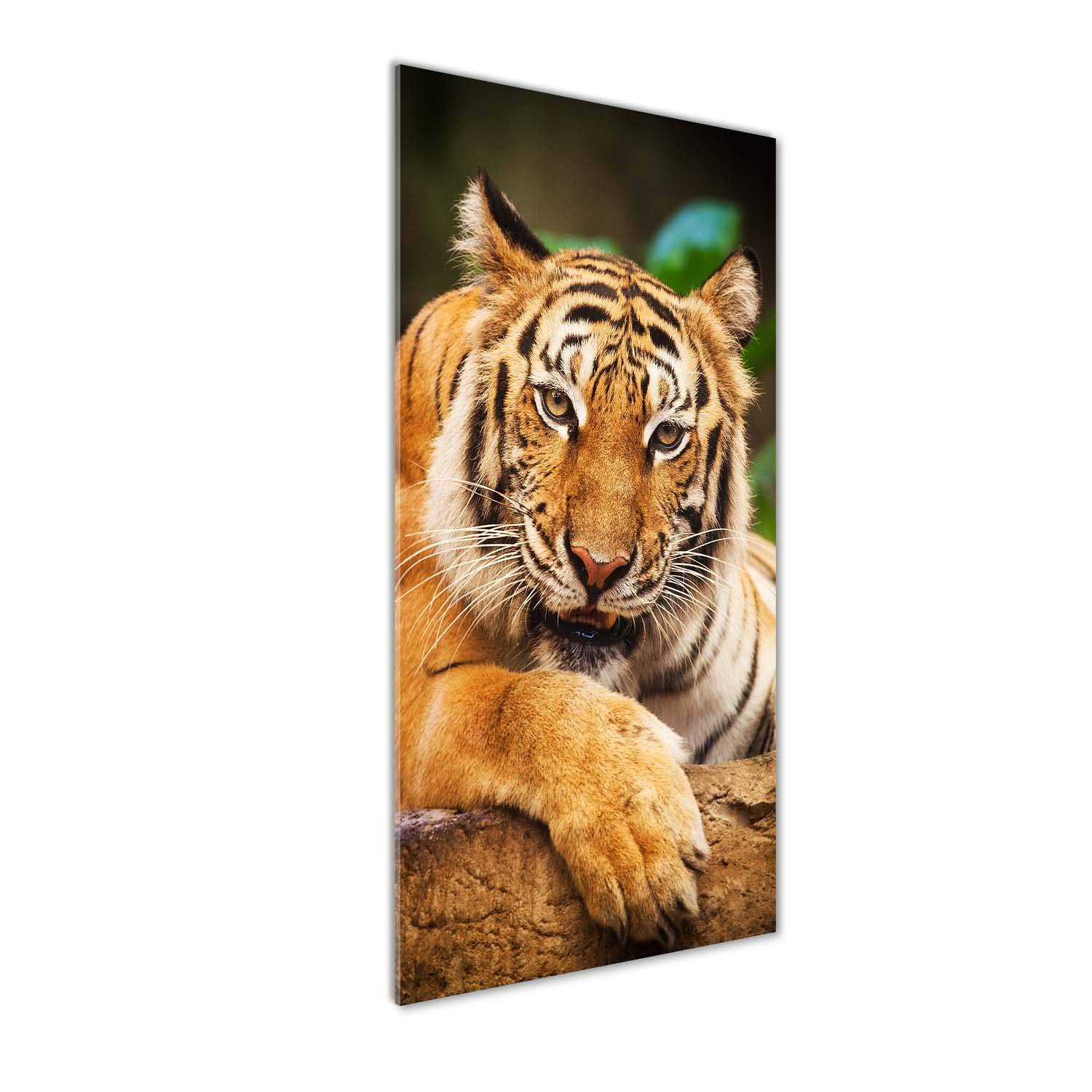 Tableaux pour la Mur Acrylique Tulup : Rénovez votre Décoration avec ce Tigre Orange