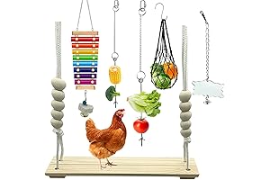 6 Packs Toys Chirp up Your Cooped-Up Birds