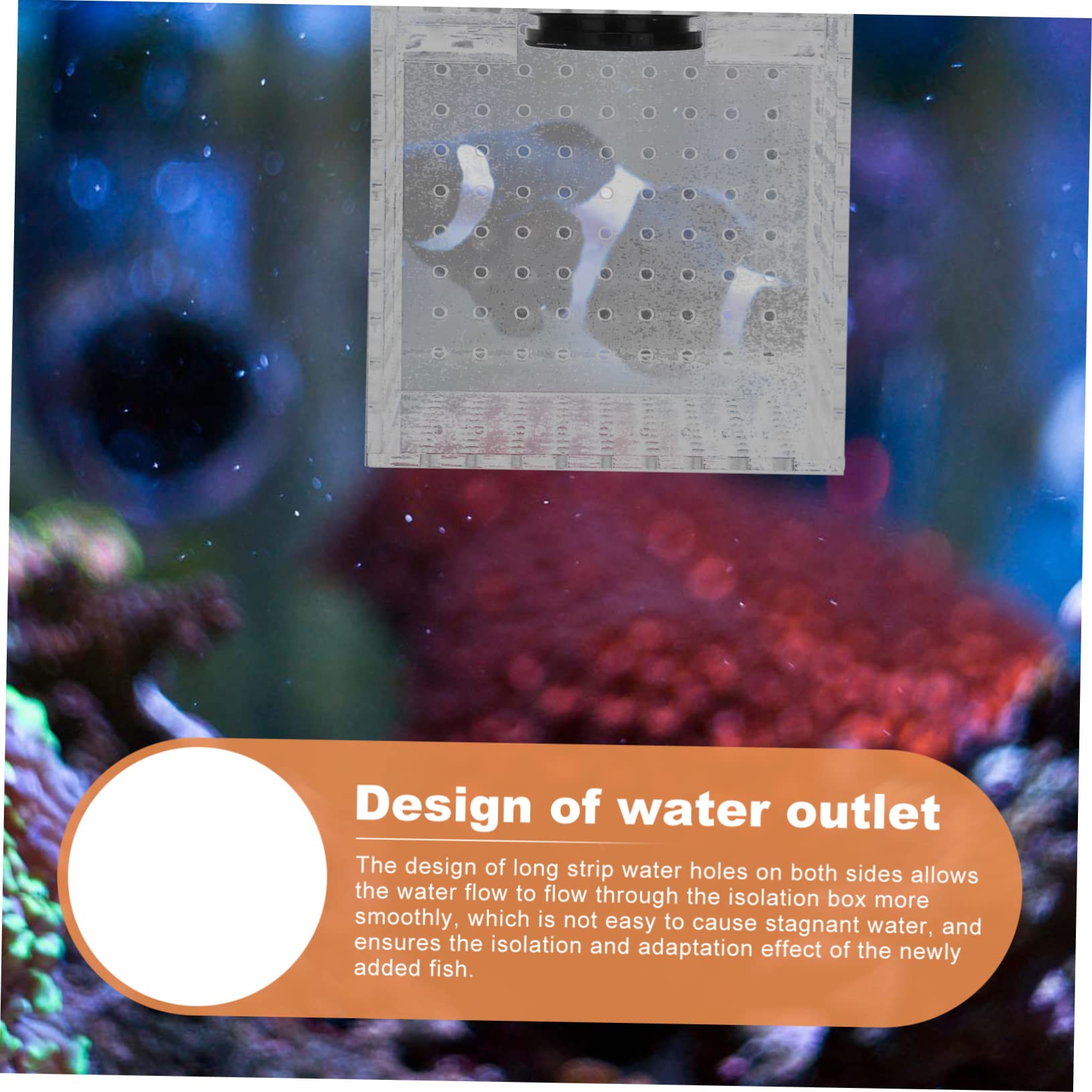 1pieza Caja De Aislamiento para Peces De Ventilación Incubadora para Cría De Peces Separador De Acuario Magnético Diseño Transparente Aumenta La Supervivencia De Alevines