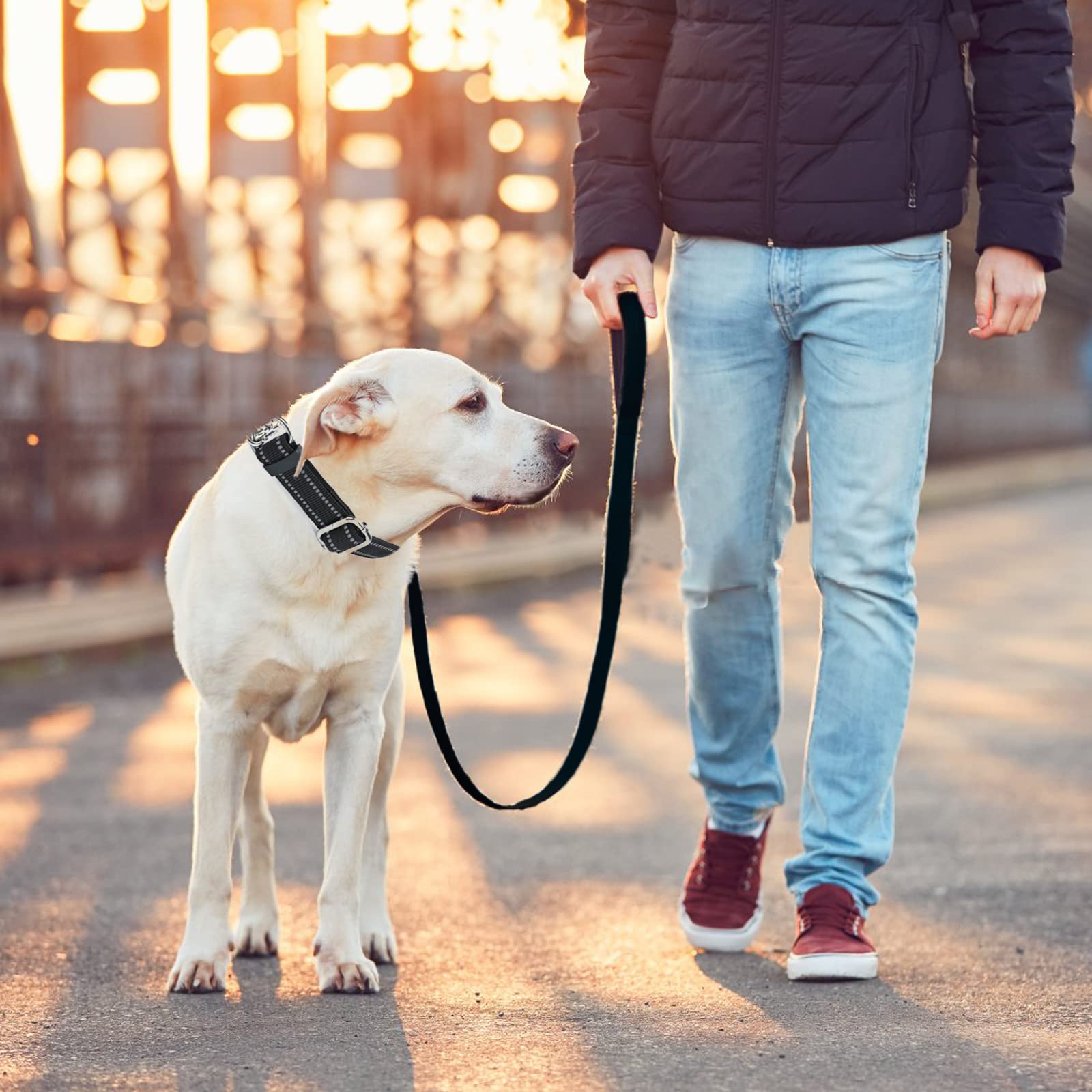 JIPIMON Heavy Duty Short Dog Leash For Training & Control - Reflective, 15 Inch, With Comfy Handle