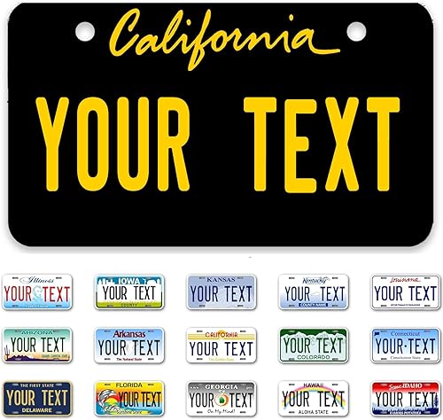 Placa de matrícula personalizada, 4 x 2 pulgadas, gruesa, libre de óxido, elige entre los 50 estados, placas de matrícula personalizadas para