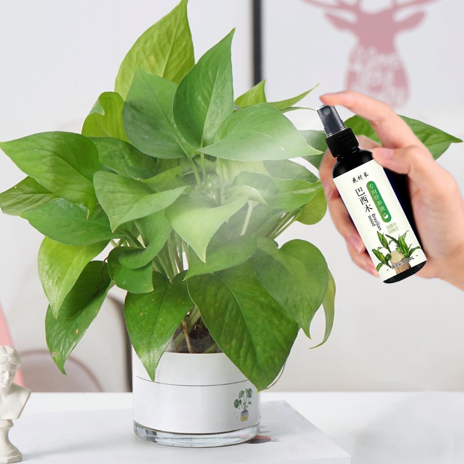 Alimento para plantas de madera brasileña, fertilizante líquido de bambú de 100ml, fertilizante para plantas de interior de madera brasileña de la suerte, fertilizante líquido para plantas de interior