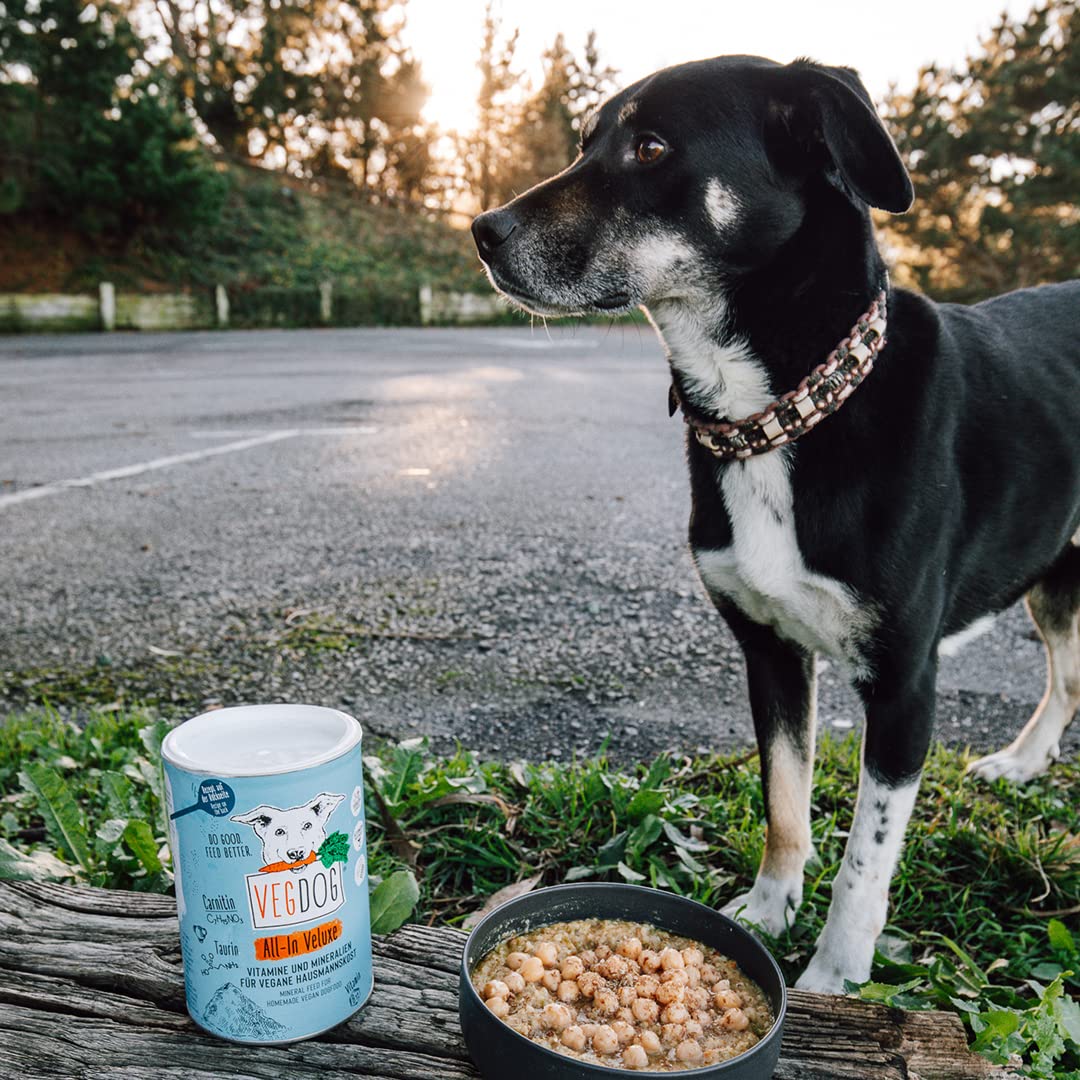 VEGDOG All-In Veluxe Polvere minerale ipoallergenica (650 g) | Da cucinare da te per cani | Integratore alimentare per chi soffre di allergie