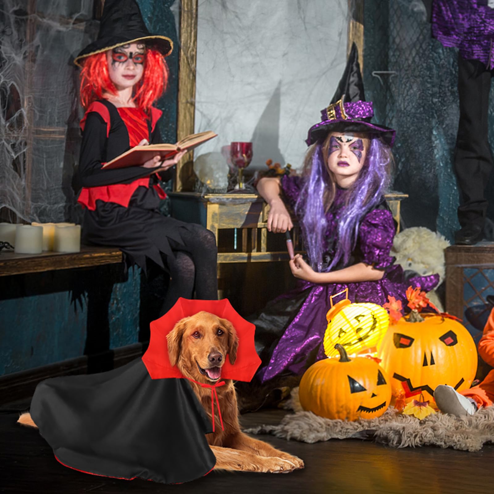 Snapklik.com : Dog Halloween Costumes, Dogs Vampire Costume Devil Cloak ...
