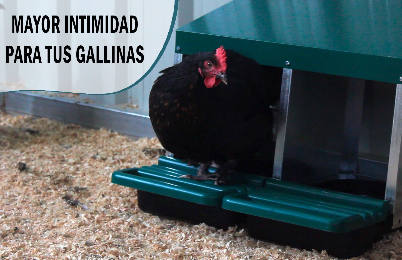 FINCA CASAREJO Ponederos para gallinas - Ponedero Huevos Eco 6 Huecos - Ponedero en Batería + Guía Práctica sobre los Huevos - Nido para Gallinas con Cajón Escamoteador