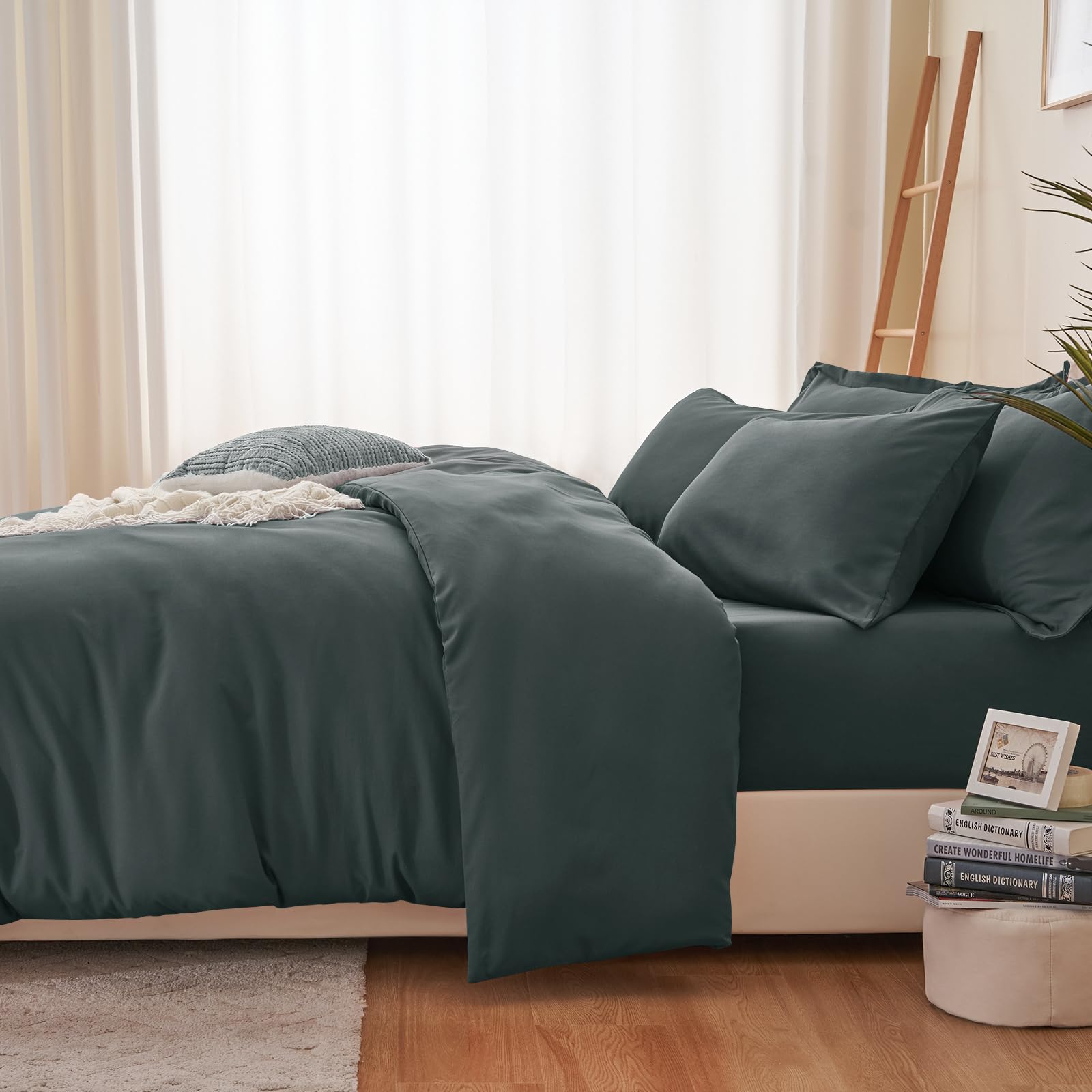 RUIKASI Set Copripiumino Matrimoniale 250x200 - Monocromatico 3 Pezzi Copripiumino Set di Due Federe 50x80 cm inclusi, Microfibra, Facile Da Gestire e Morbida, Grigio Scuro
