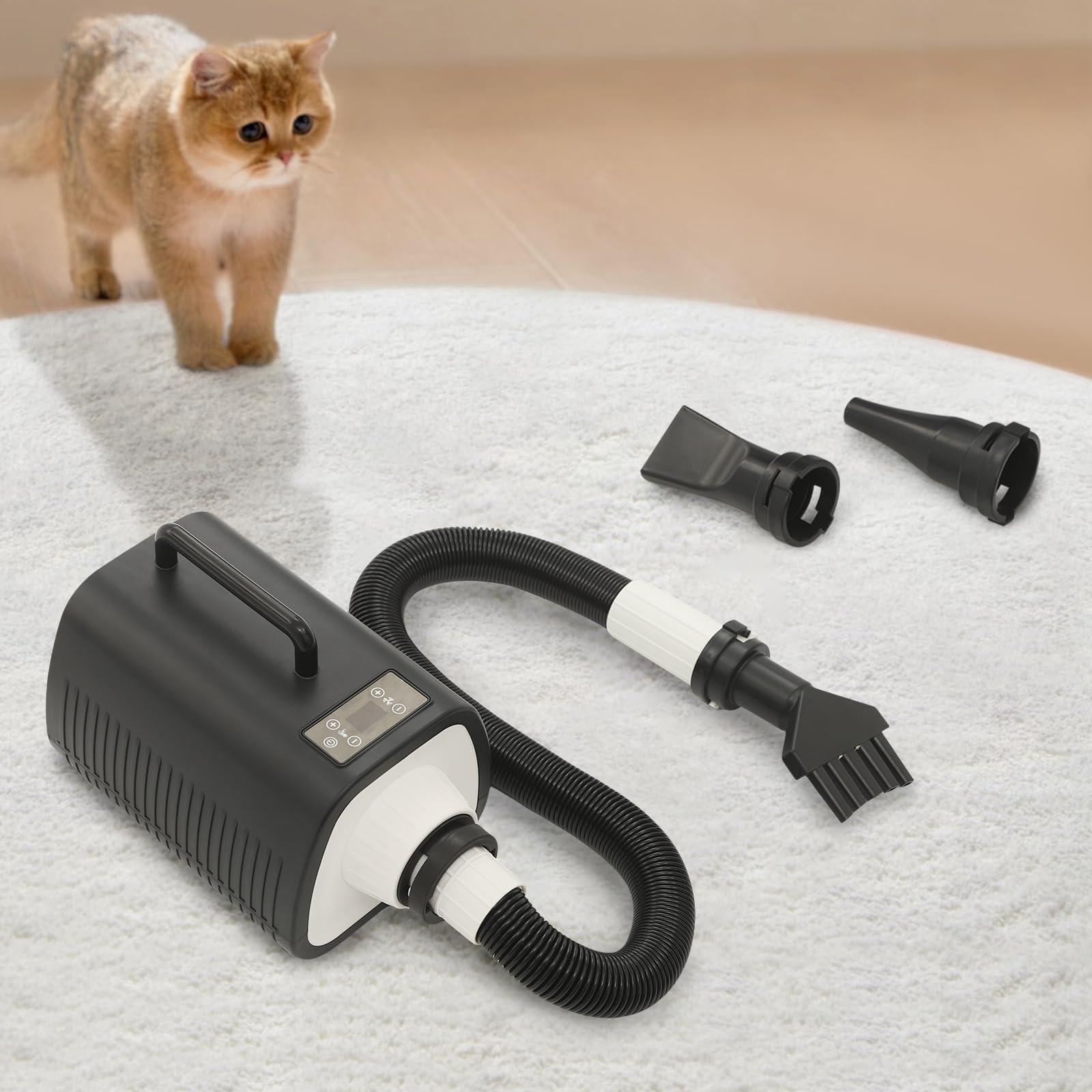 Sèche-cheveux pour chien avec 3 buses 2100 W