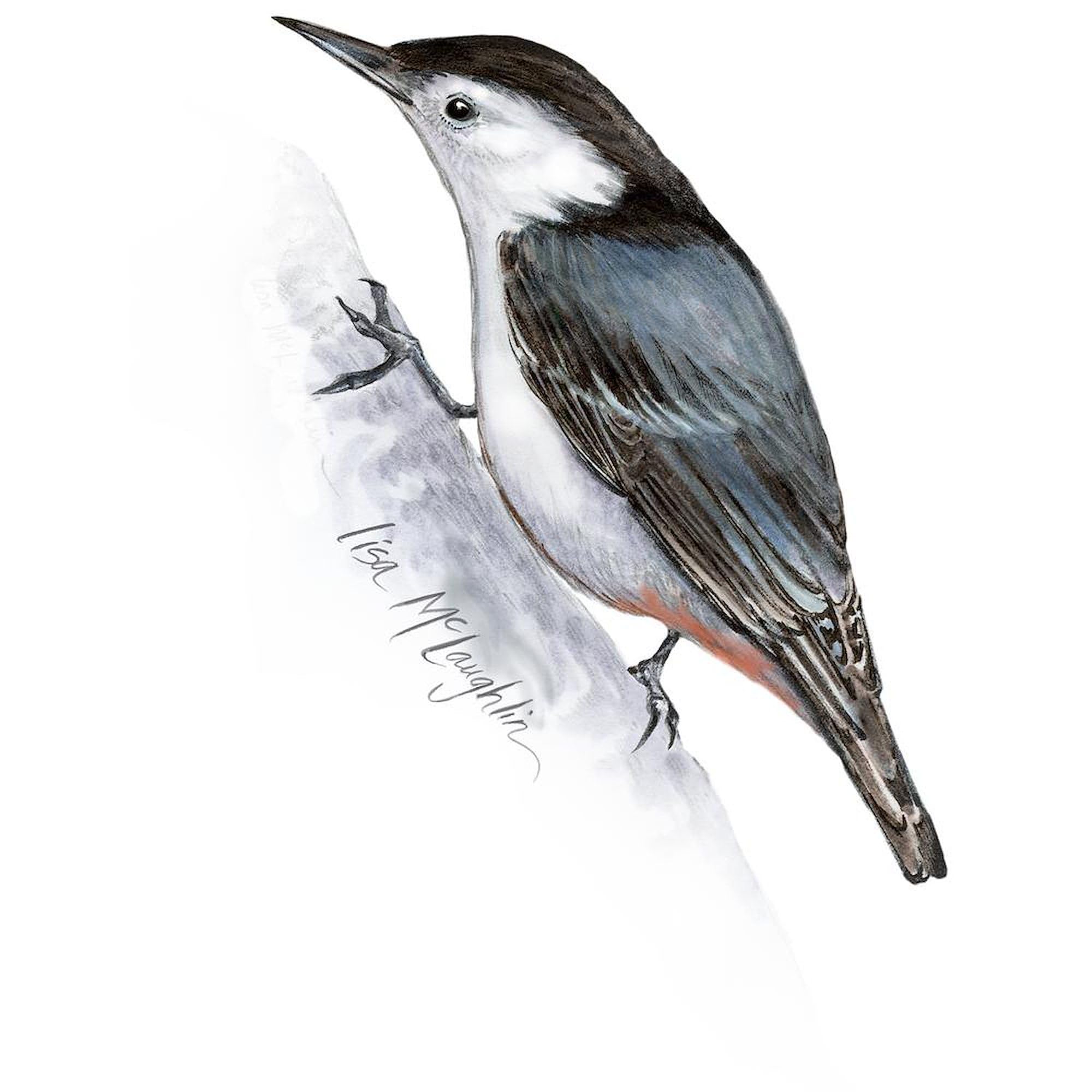 CafePress Little Nuthatch Mug 11 oz (325 ml) Ceramic Coffee Mug